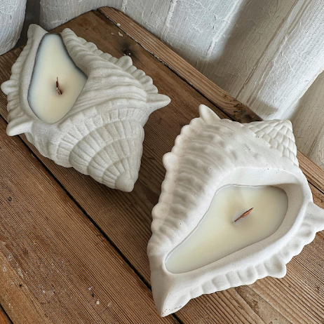 Two shell-shaped candles on a wooden surface with a white textured wall in the background.