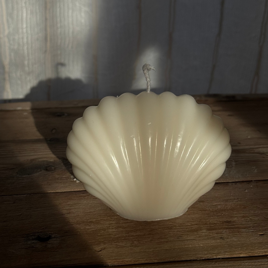 Shell-shaped candle on a wooden surface with a neutral background